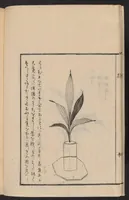 An illustration from Ikebana tebikigusa : Seizan Onke Goryū (1868)