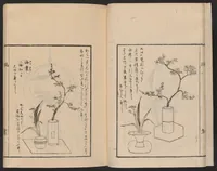 An illustration from Ikebana tebikigusa : Seizan Onke Goryū (1868)