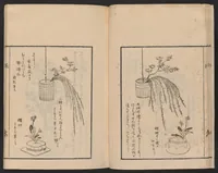 An illustration from Ikebana tebikigusa : Seizan Onke Goryū (1868)