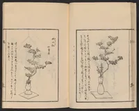 An illustration from Ikebana tebikigusa : Seizan Onke Goryū (1868)
