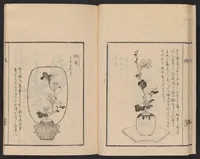 An illustration from Ikebana tebikigusa : Seizan Onke Goryū (1868)