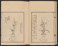 An illustration from Ikebana tebikigusa : Seizan Onke Goryū (1868)