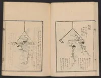 An illustration from Ikebana tebikigusa : Seizan Onke Goryū. Zenpen (1868)