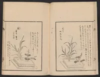 An illustration from Ikebana tebikigusa : Seizan Onke Goryū. Zenpen (1868)