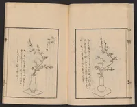 An illustration from Ikebana tebikigusa : Seizan Onke Goryū. Zenpen (1868)
