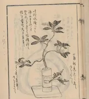 An illustration from Ikebana tebikigusa : Seizan Onke Goryū. Zenpen (1868)