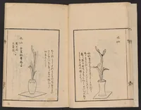 An illustration from Ikebana tebikigusa : Seizan Onke Goryū. Zenpen (1868)