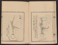 An illustration from Ikebana tebikigusa : Seizan Onke Goryū. Zenpen (1868)