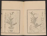 An illustration from Ikebana tebikigusa : Seizan Onke Goryū. Zenpen (1868)