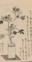 An illustration from Ikebana tebikigusa : Seizan Onke Goryū. Zenpen (1868)