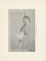 An illustration from The Ikeda collection of kakemonos and screens (1906)