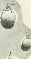 Picture 122 of 237 from Ikonografia Bogomateri (1914), leaf 215