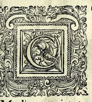 An illustration from Il ballarino (1581)