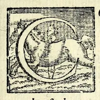 An illustration from Il ballarino (1581)