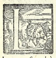 An illustration from Il ballarino (1581)