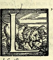 An illustration from Il ballarino (1581)