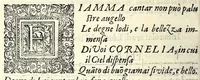 An illustration from Il ballarino (1581)