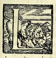An illustration from Il ballarino (1581)