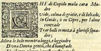 An illustration from Il ballarino (1581)