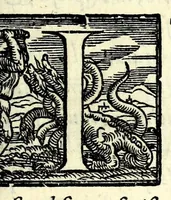 An illustration from Il ballarino (1581)