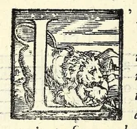 An illustration from Il ballarino (1581)