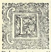 An illustration from Il ballarino (1581)