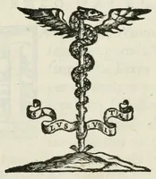 An illustration from Il Bassano (1577)