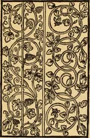 An illustration from Il Burato : libro de recami (1909)