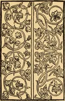 An illustration from Il Burato : libro de recami (1909)