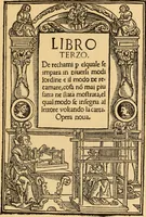 An illustration from Il Burato : libro de recami (1909)