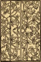 An illustration from Il Burato : libro de recami (1909)