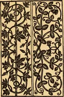 An illustration from Il Burato : libro de recami (1909)