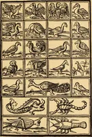 An illustration from Il Burato : libro de recami (1909)