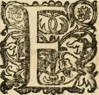 An illustration from Il Campidoglio trionfante in occasione della nobilissima caualcata fatta il dì 4. nouembre 1691 per l'eccellentissimo signor Ottauio Riari, marchese di Monte Peloso e senator di Bologna, nell'andar' a prenderui'l possesso della dignità di senator di Roma, conferitagli da nostro signore papa Innocenzo XII : colla descrizione dell'apparato fatto in Campidoglio, delle cirimonie praticate ne' palazzi, del Quirinale e dello stesso Campidoglio, e colla nota di tutte le particolarità attenenti à detta fonzione (1691)