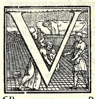 Picture 35 of 36 from Il cancellieri del Doni (1562), leaf 116