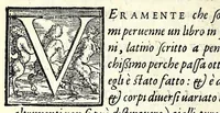 An illustration from Il cancellieri del Doni (1562)