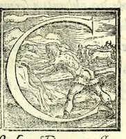 An illustration from Il cancellieri del Doni (1562)