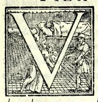 An illustration from Il cancellieri del Doni (1562)