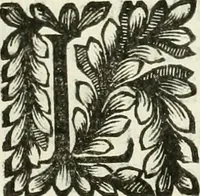 Picture 12 of 30 from Il cannocchiale aristotelico, o sia, Idea dell'arguta et ingeniosa elocutione : che serue à tutta l'arte oratoria, lapidaria, et simbolica (1670), leaf 318