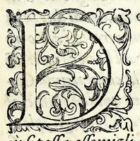 An illustration from Il castiglione, overo, Dell' arme di nobiltà : dialogo (1587)