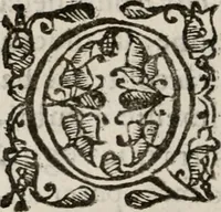 An illustration from Il Cavalcanti; overo, La difesa dell'Anticrvsca (1614)