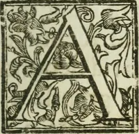 An illustration from Il cavaliere e la dama; overo, Discorsi familiari nell'ozio tusculano autunnale dell'anno 1674, sopra alcune cose appartenenti à caualieri & alle dame, cosi nelle legge scritta come in quella della conuenienza, contenute negli argomenti registrati nell'annesso indice (1675)
