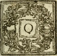 Picture 16 of 54 from Il cavaliere e la dama; overo, Discorsi familiari nell'ozio tusculano autunnale dell'anno 1674, sopra alcune cose appartenenti à caualieri & alle dame, cosi nelle legge scritta come in quella della conuenienza, contenute negli argomenti registrati nell'annesso indice (1675), leaf 208