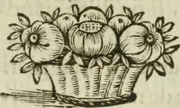 An illustration from Il cavaliere e la dama; overo, Discorsi familiari nell'ozio tusculano autunnale dell'anno 1674, sopra alcune cose appartenenti à caualieri & alle dame, cosi nelle legge scritta come in quella della conuenienza, contenute negli argomenti registrati nell'annesso indice (1675)
