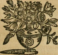 Picture 30 of 54 from Il cavaliere e la dama; overo, Discorsi familiari nell'ozio tusculano autunnale dell'anno 1674, sopra alcune cose appartenenti à caualieri & alle dame, cosi nelle legge scritta come in quella della conuenienza, contenute negli argomenti registrati nell'annesso indice (1675), leaf 376