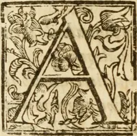 An illustration from Il cavaliere e la dama; overo, Discorsi familiari nell'ozio tusculano autunnale dell'anno 1674, sopra alcune cose appartenenti à caualieri & alle dame, cosi nelle legge scritta come in quella della conuenienza, contenute negli argomenti registrati nell'annesso indice (1675)