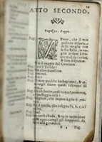 An illustration from Il cavallarizzo