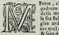 An illustration from Il cavallarizzo