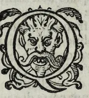 An illustration from Il cavallarizzo