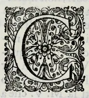 An illustration from Il colosso della costanza : cantata musicale in lode dell'inuittissimo rè della Gran Bretagna Giacomo II, ed all'istesso da' signori conuittori del Seminario Romano (1689)